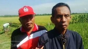 KETUA POKTAN - SUCIPTO