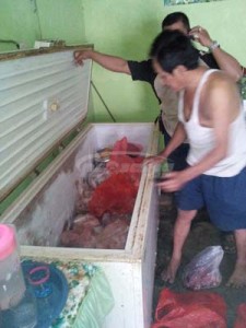 DAGING SAPI YANG DIOPLOS DENGA DAGING CELENG